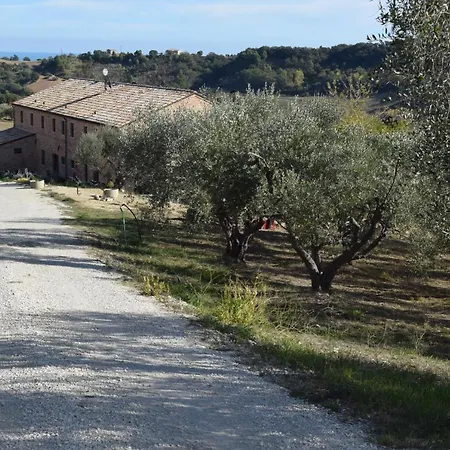 Monna Terra Fermo